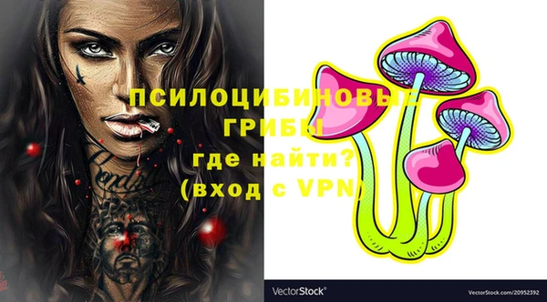 винт Арсеньев